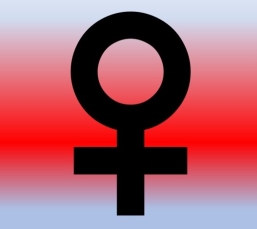 The ankh 